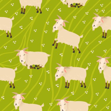 Dikişsiz keçi arka plan