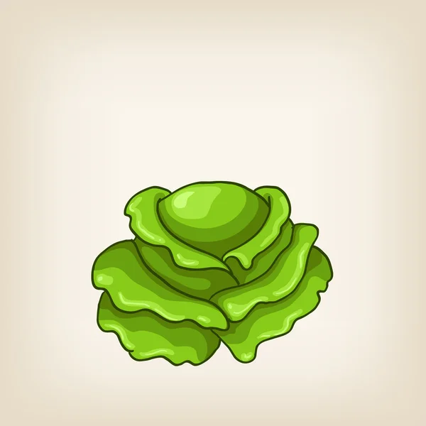 Cute vector green hand drawn cabbage — Stock Vector