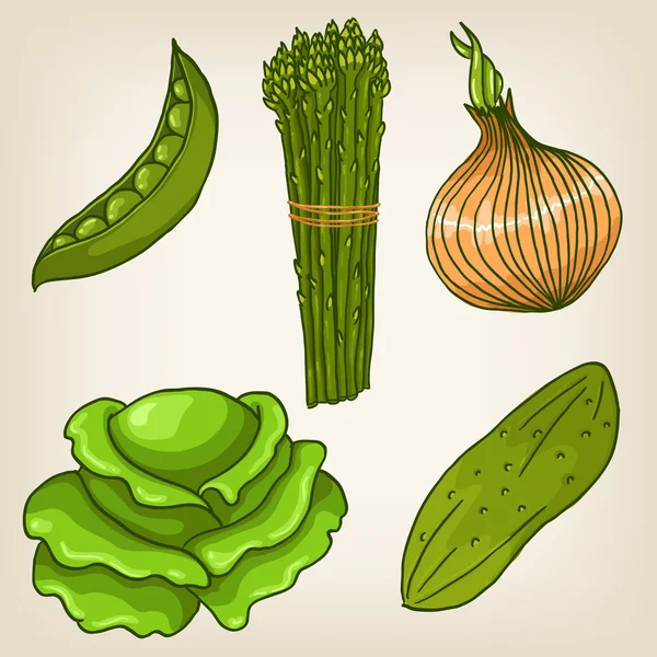 Hand drawn vegetables — Stock Vector