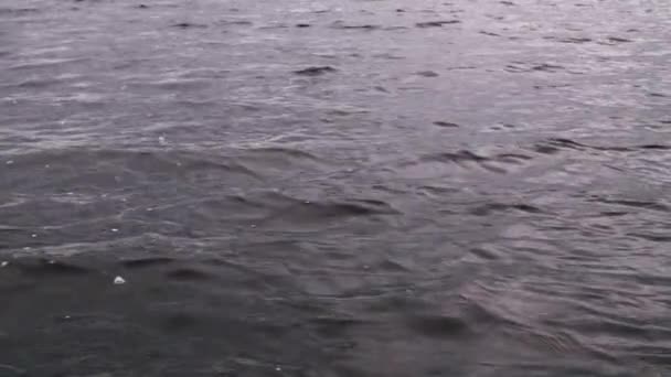 Pequeñas olas en la superficie del agua se balancearon por el viento en previsión del inicio de la lluvia. Las olas de agua se pueden utilizar para texturizar la ola de fondo de agua. — Vídeos de Stock