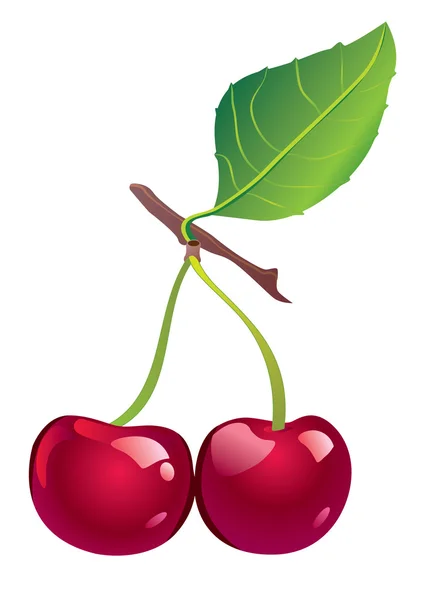 Cerezas — Vector de stock