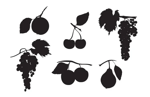 Silhouette de fruits — Image vectorielle