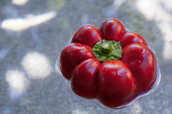 Paprika in water — Stock Photo, Image