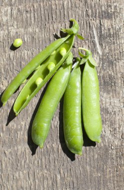 yeşil bezelyeler