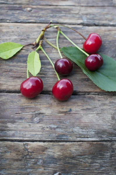Organic cherry — Stock Photo, Image