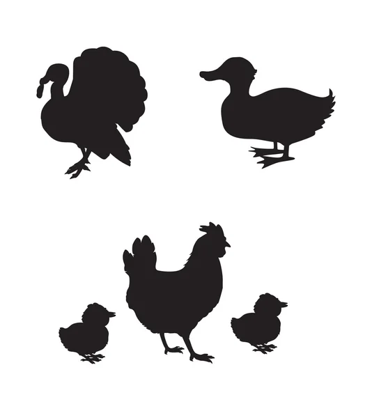 Siluetas de aves de granja — Vector de stock