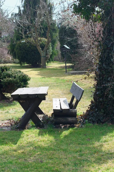 春天的风景 木制的桌子和长椅 公园里绿草如茵 绿树成荫的地方 — 图库照片