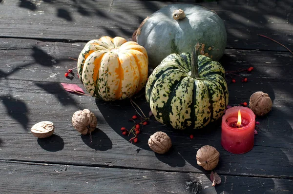 Veelkleurige Pompoenen Met Walnoten Een Appel Een Rode Kaars Herfstbladeren — Stockfoto