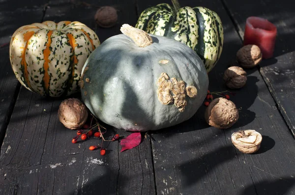 Veelkleurige Pompoenen Met Walnoten Een Appel Een Rode Kaars Herfstbladeren — Stockfoto