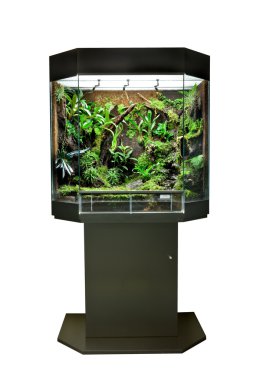 Terrarium for tropical rainforest pets clipart