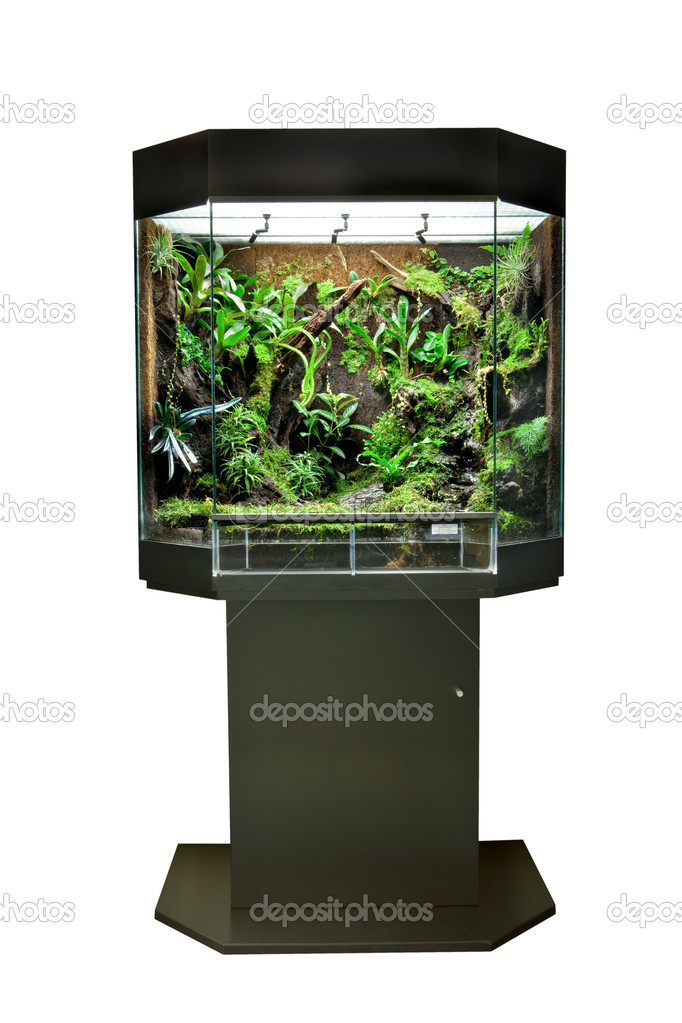 Terrarium for tropical rainforest pets