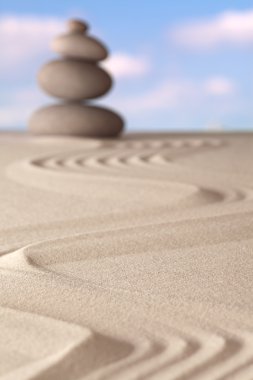 Zen Bahçesi