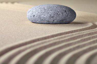 Zen Bahçesi