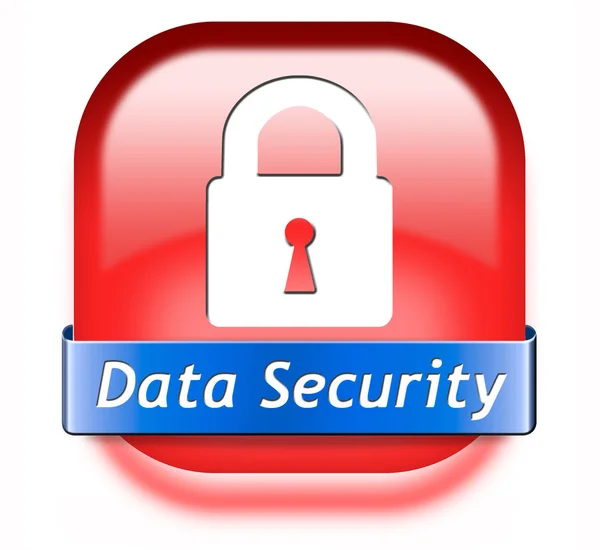 Data security button — Stock Photo, Image