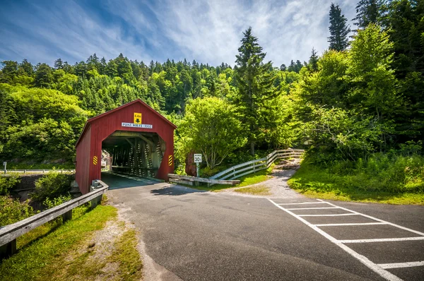 Kapalı köprü — Stok fotoğraf