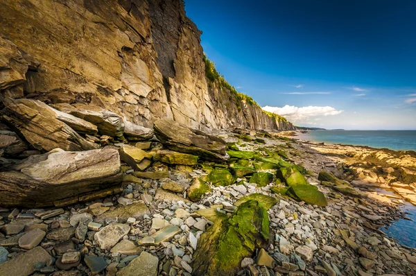 Cape kızdırmak — Stok fotoğraf