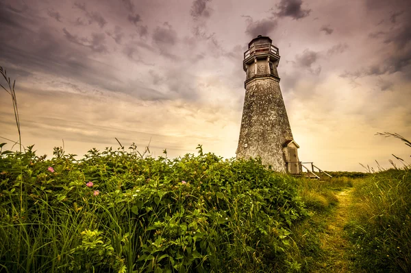 Cape Jourimain világítótorony — Stock Fotó