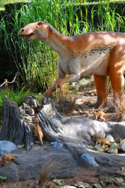 edmontosaurus dinozor yuva sitesinde babys ile