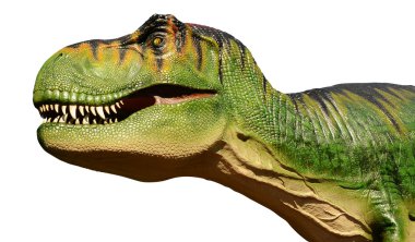 Tyrannosaurus rex izole