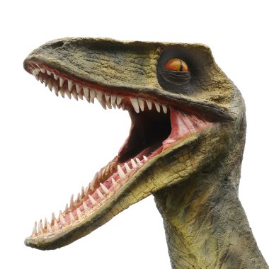 Tyrannosaurus Rex Isolated clipart