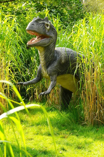 Atacar Allosaurus — Fotografia de Stock