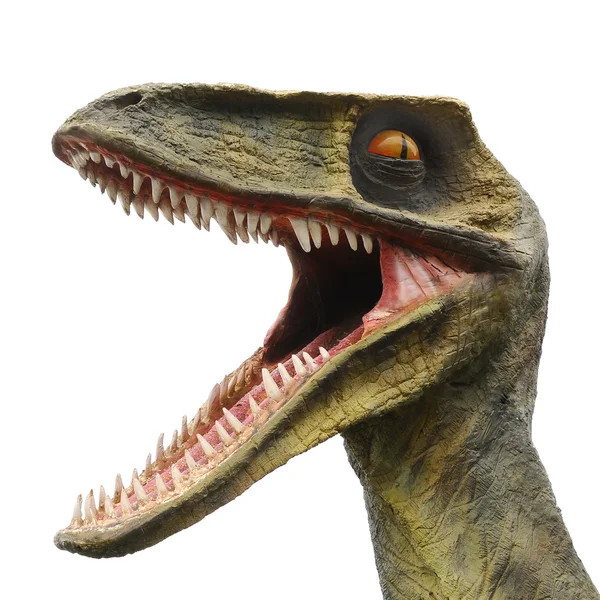 Tiranossauro Rex isolado Fotografias De Stock Royalty-Free