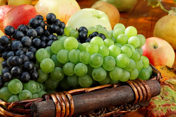 Cesta de frutas maduras . — Foto de Stock