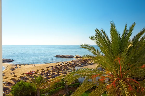 Frühmorgens am Strand . — Stockfoto