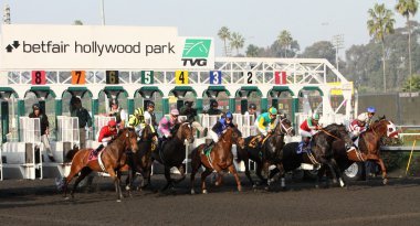 Gate Break for the 2012 Bayakoa Stakes clipart