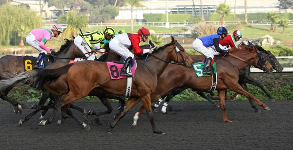 "Lady of Fifty "Wins The Bayakoa Stakes — стоковое фото