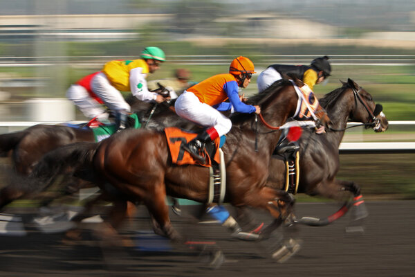 Storming Down the Homestretch