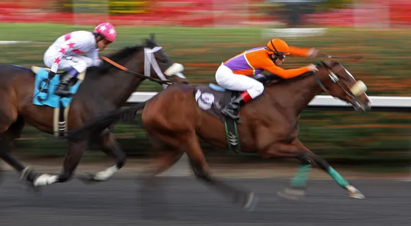 Tiz dinâmica ganha uma corrida de reivindicação — Fotografia de Stock