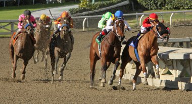 Kitap inceleme WINS 2012 la brea kazıklar