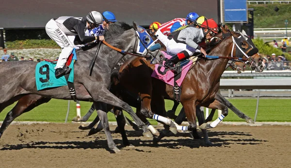 Storming Down the Homstretch — Foto de Stock