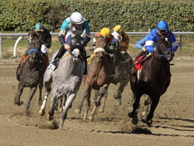 Racing at the Top of the Stretch clipart