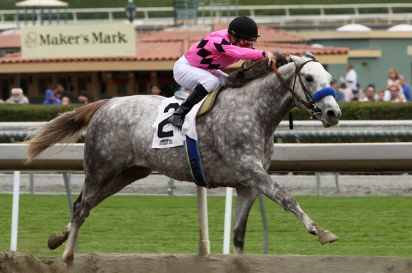 Flashback vence o Robert B. Lewis Stakes — Fotografia de Stock