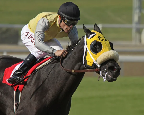 Great Hot Wins The Santa Maria Stakes — Stock Photo, Image