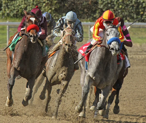 彼女の最初のレースに勝つ — ストック写真