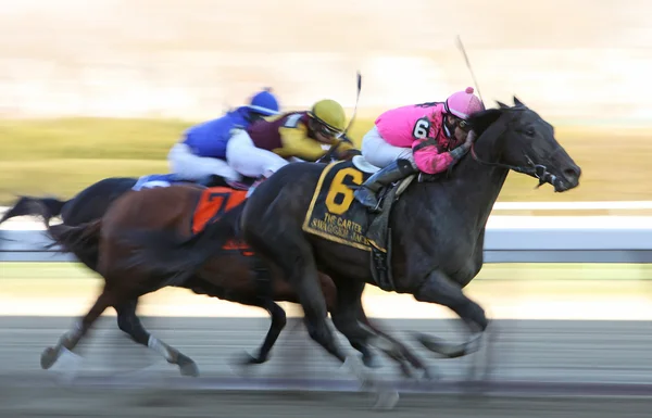 Swagger Jack Wins The Carter Handicap — Stock Photo, Image