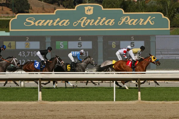 Racen op historische santa anita park — Stockfoto