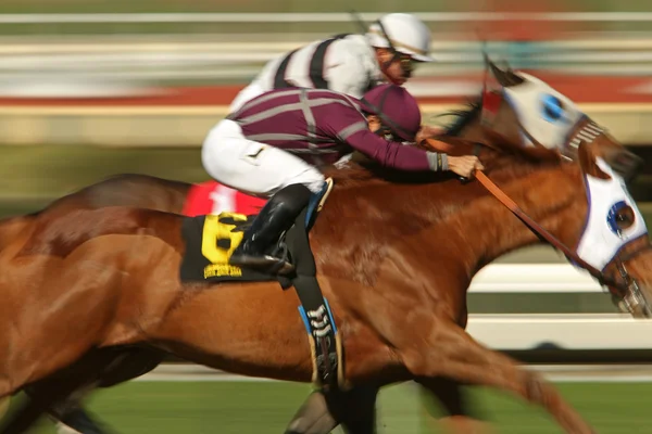 首と首のストレッチ ダウン — ストック写真