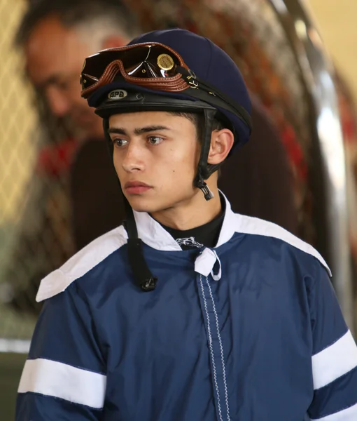 Caballo jocky de pura raza Hernández — Foto de Stock