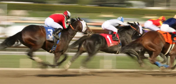 Winning The San Carlos Stakes Royalty Free Stock Images