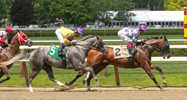 Seabiscuit fırtınası