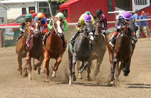 Cabeza en acción de carreras — Foto de Stock