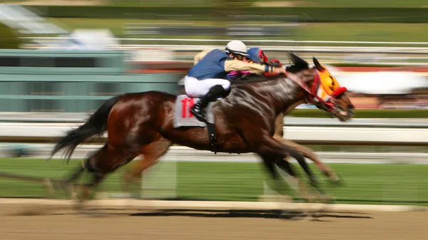 Abstrato borrão corrida de cavalos — Fotografia de Stock