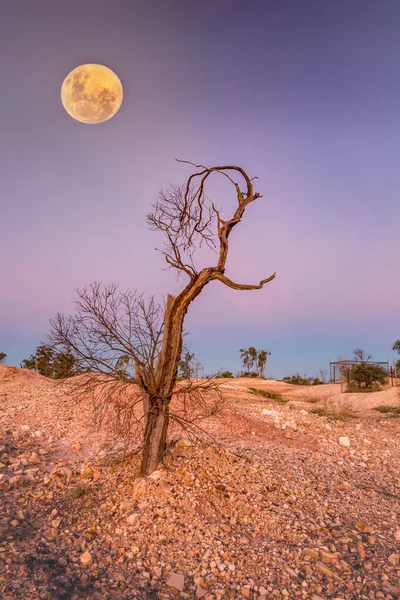 Luna sobre Lightning Ridge paisaje árido del desierto —  Fotos de Stock