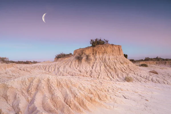 Dawn Light Desert Lunette Shifting Sands Scrub Plants Ever Changing — Zdjęcie stockowe