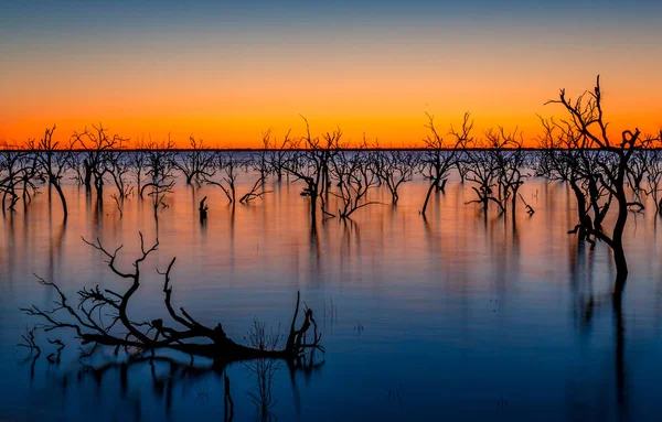 オーストラリアの日の出の豊かな鮮やかな色 オーストラリアのアウトバック 湖の木々とそれらの反射 — ストック写真