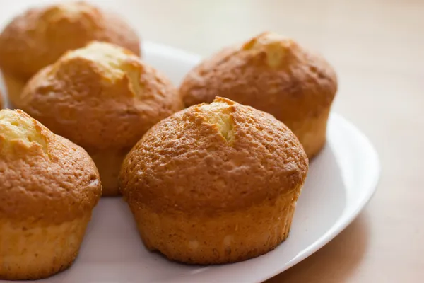 Fresh cakes on a plate — Stock Photo, Image